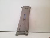 (B) pillar trim (top)