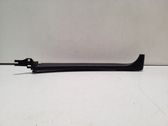 Other rear door trim element