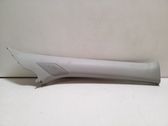 (A) pillar trim