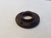 Front coil spring rubber mount