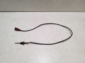 Abgastemperatursensor