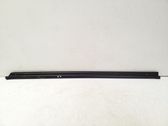 Rear door glass trim molding