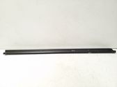 Rear door glass trim molding