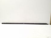 Rear door glass trim molding