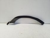 Fender trim (molding)