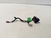 Other wiring loom