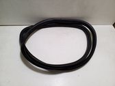 Rear door rubber seal (on body)
