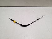 Línea de cable puerta delantera