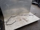 Tubo/manguera de la línea de combustible