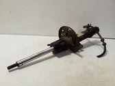 Front shock absorber/damper