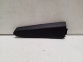 Other rear door trim element