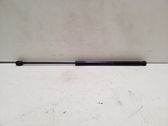 Tailgate/trunk strut/damper