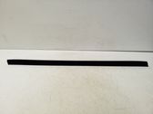 Front door glass trim molding