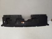 Radiator trim