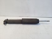 Stoßdämpfer hinten
