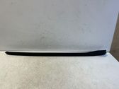 Windshield trim