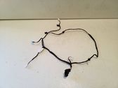 Front door wiring loom