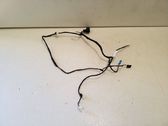 Front door wiring loom