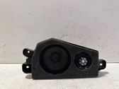 Rear door speaker