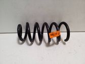 Front coil spring