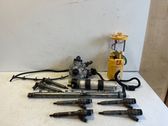 Fuel injection system set