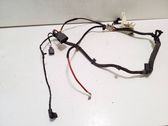Other wiring loom