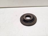 Rear coil spring rubber mount