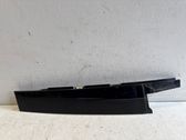 Rear door glass trim molding