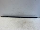 Front door glass trim molding