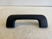 Front interior roof grab handle