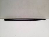 Windshield trim