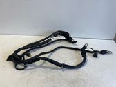 Negative earth cable (battery)