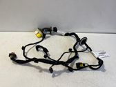 Front door wiring loom