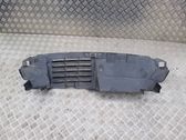 Intercooler air guide/duct channel