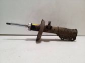 Front shock absorber/damper