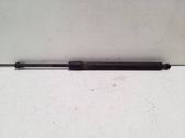 Tailgate/trunk strut/damper