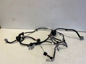 Rear door wiring loom