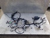 Faisceau de câblage pour moteur