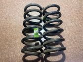 Rear coil spring