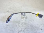 Sonde lambda
