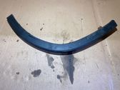 Fender trim (molding)