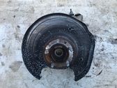 Rear wheel hub