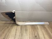 Front sill trim cover