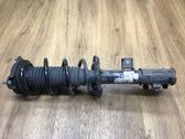 Front shock absorber with coil spring