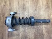 Rear shock absorber/damper