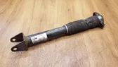 Rear shock absorber/damper