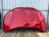 Motorhaube