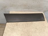 Front door trim (molding)