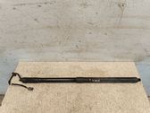 Tailgate/trunk strut/damper