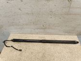 Tailgate/trunk strut/damper